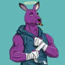 kangaroofightsociety#182