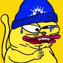 CHONKS680
