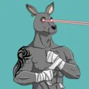 kangaroofightsociety#1252