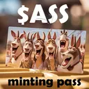 ASSPASS1