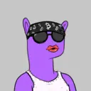 Timmy #5749