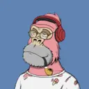 ChilledKong7063