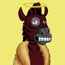 ZESTYZEBRA466