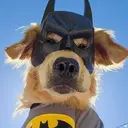 BATDOG