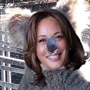 Koala Harris