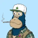 ChilledKong2678