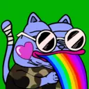 CHONKS2282
