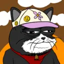 Mogi428
