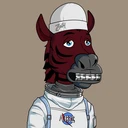 ZESTYZEBRA1936