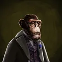 adapeCristovalGreen