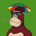 ChilledKong1537