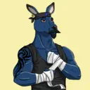 kangaroofightsociety#3389