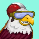 Hawk #0041