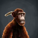 adapeRayburnFord