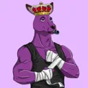 kangaroofightsociety#1996