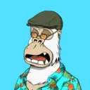 ChilledKong4125