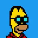 HomerPunks8058