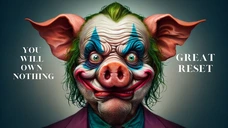 Clown Schwein