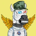 ZESTYZEBRA940