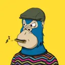 ChilledKong5496