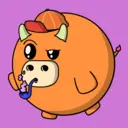 Bubulls0128