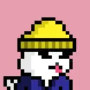 pixel seal 2234