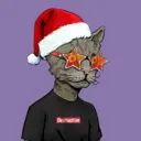 ALLEYKATZ04388