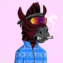 ZESTYZEBRA2152