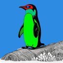 penguin4