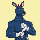 kangaroofightsociety#4029