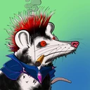 Possum #1761