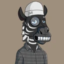 ZESTYZEBRA2497