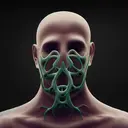 Dysmorphia0243
