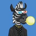 ZESTYZEBRA107