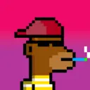 MonkeyWifhat2088