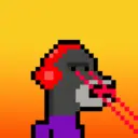 MonkeyWifhat3031