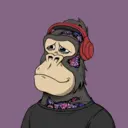ChilledKong4188