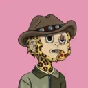 SocialApe2384