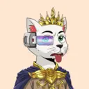 REKT Kat #2539