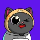 crycat488