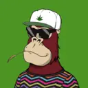 ChilledKong7535