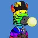 ZESTYZEBRA1090