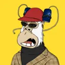 ChilledKong7720