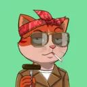 CATSTANBUL661