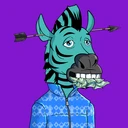 ZESTYZEBRA712