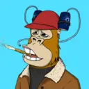 ChilledKong2086