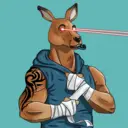 kangaroofightsociety#1465