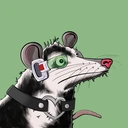 Possum #4020