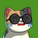 crycat2120