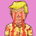 Trump #6629